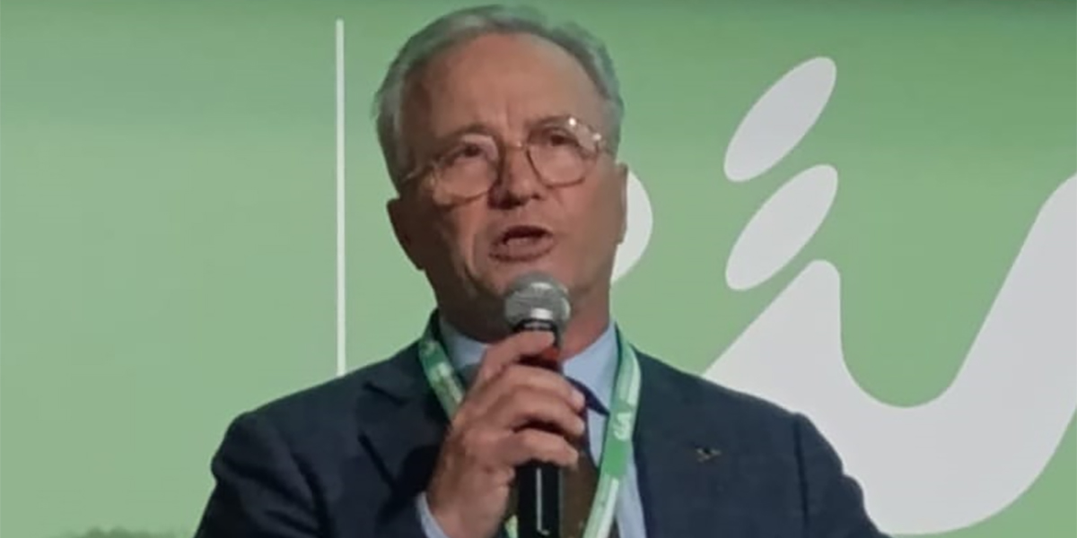 Crisi nera per la mandorlicoltura in Sicilia: calo produttivo del 70%